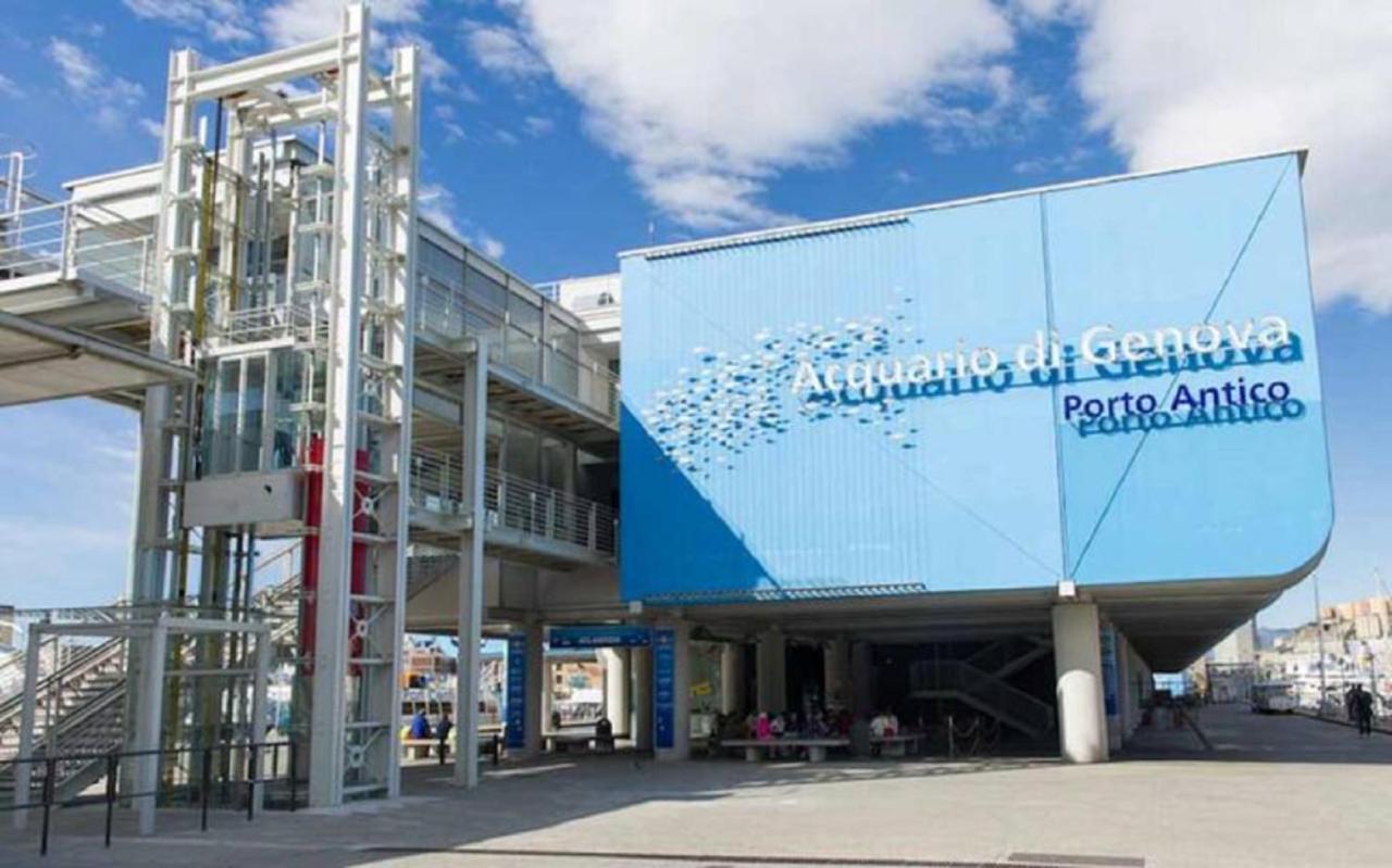 شقة جنوة  في Apt Aquarium المظهر الخارجي الصورة